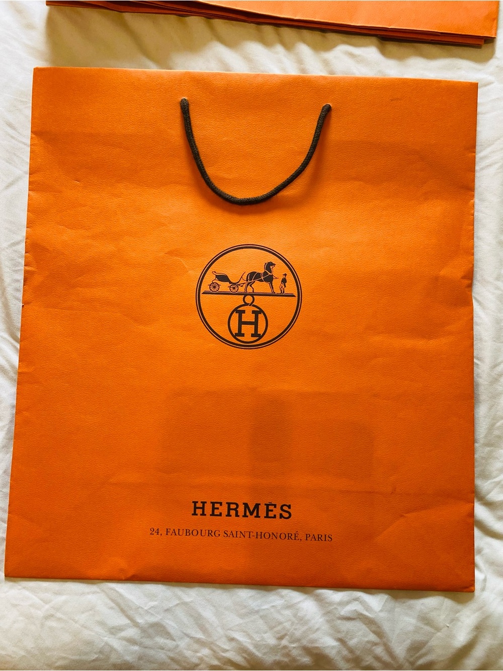 🛍️Hermes Authentic Luxury Branded Gift Bags in Various Sizes with Ribbon - Picture 5 of 12